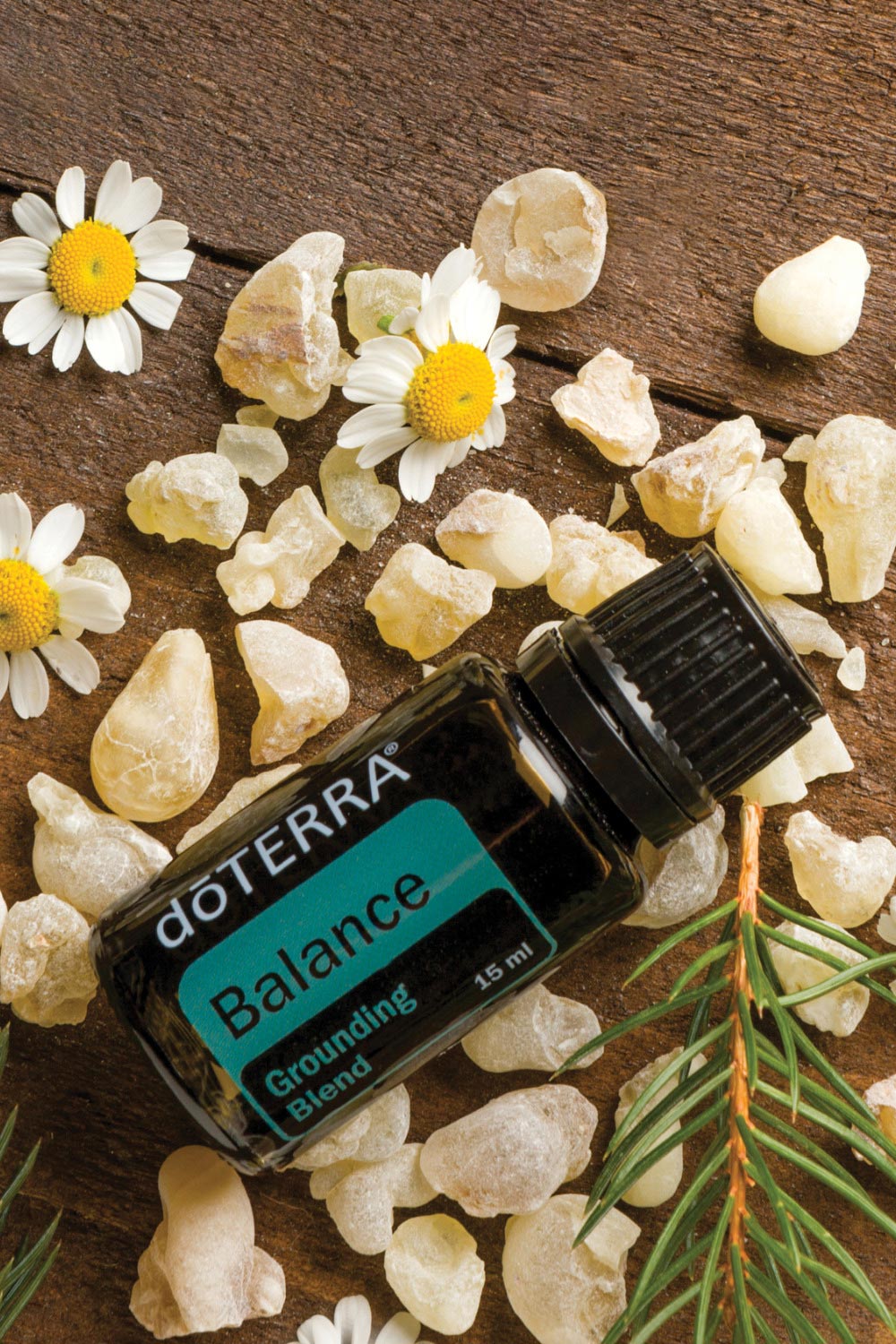 A collection of wellness essentials