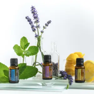 Everyday Essentials Intro Kit